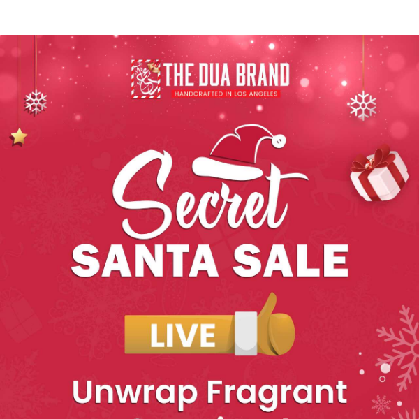 Guess What, Santa's Early: 30% Off for our Secret Santa Sale! 🎅💖