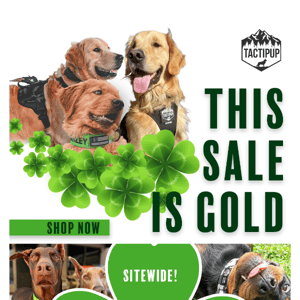 This Sale Is Gold! 🍀