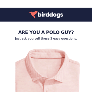 Are You A Polo Guy?