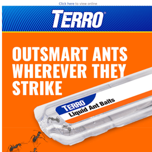 We know ants inside-out.