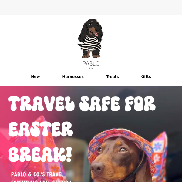 Travel safe for Easter! 🐾