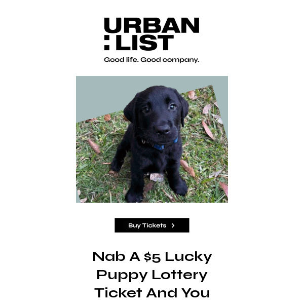 Nab A $5 Ticket In The Lucky Puppy Lottery And Score $50K 🐾