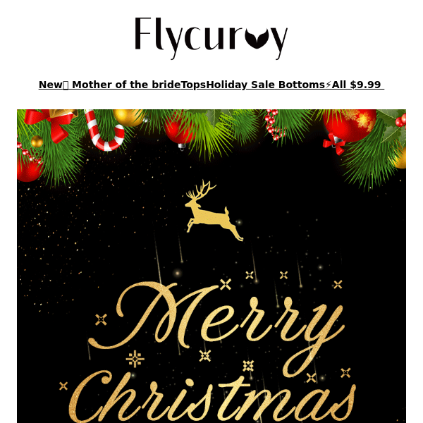 FlyCurvy, Merry Christmas 🎅