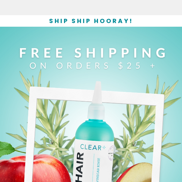 Ship, Ship, Hooray! Free Shipping until the 31st! 📣