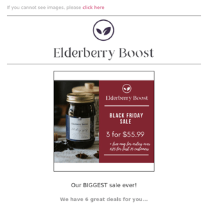 Elderberry Boost It’s Black Friday.. Yay!! Deals Galore.