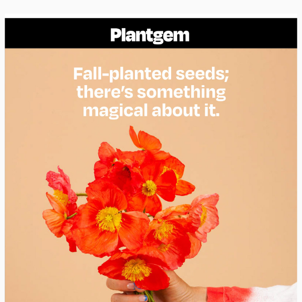 Fall-Planted Seeds