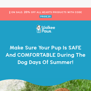 🐶 Protect your pup from the hazards of summer 🐶