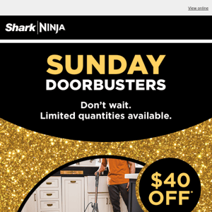 Black Friday Daily Doorbusters—Sunday Savings