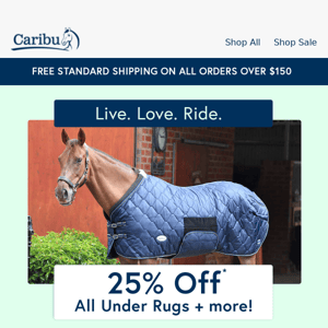 25% Off All Under Rugs + more!