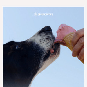 Beat the heat! How to make ice cream for your dog.🐶
