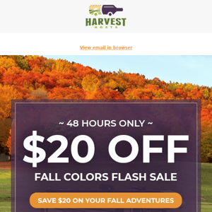 💰 $20 Off For Fall Colors!