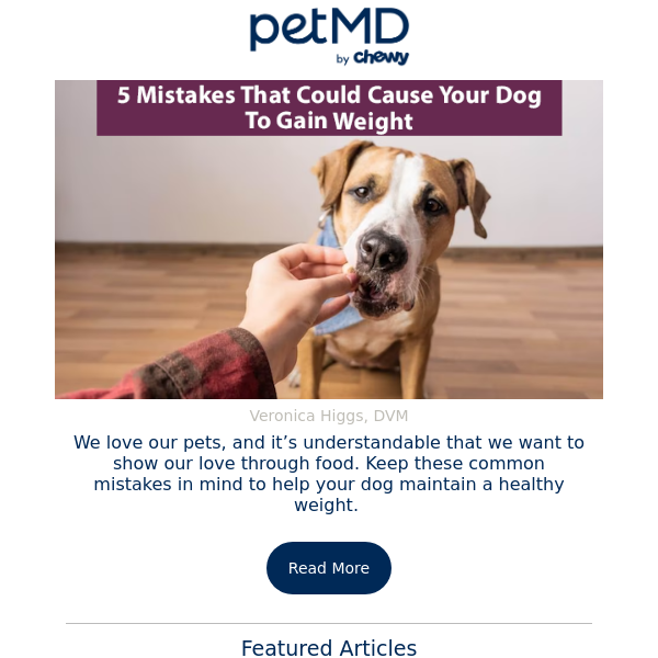 5 Mistakes That Could Cause Weight Gain in Dogs