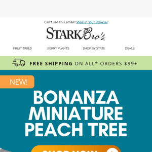 🍑 NEW! Bonanza Miniature Peach