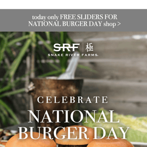 FREE Burgers for National Burger Day 🍔