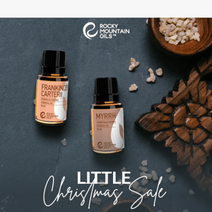 Little Christmas Sale | ONE DAY ONLY