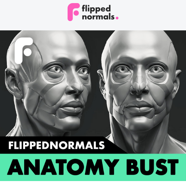 Out Now! FlippedNormals Anatomy Bust
