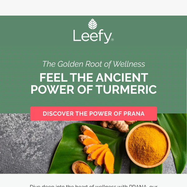 Unlock the Power of Turmeric with PRANA 🌿