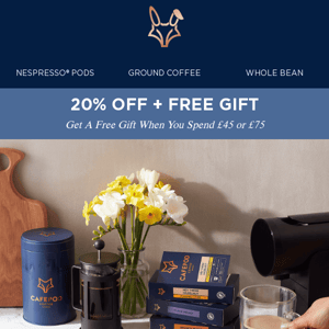 20% OFF + FREE Gift