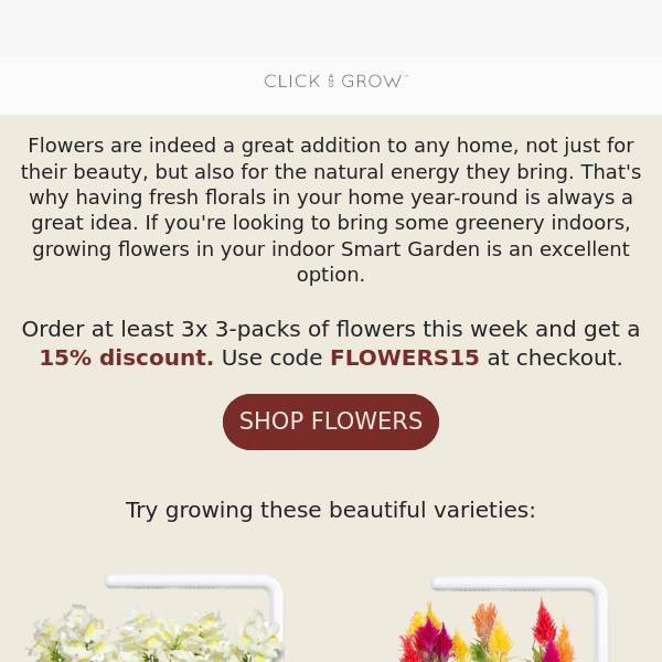 Brighten Any Room With Fresh Blooms Click Grow