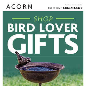 Great Gifts for Bird Lovers