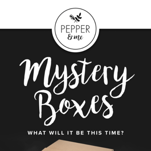 BLACK FRIDAY DEAL 8: We're going out with a BANG! Mystery Boxes are back!