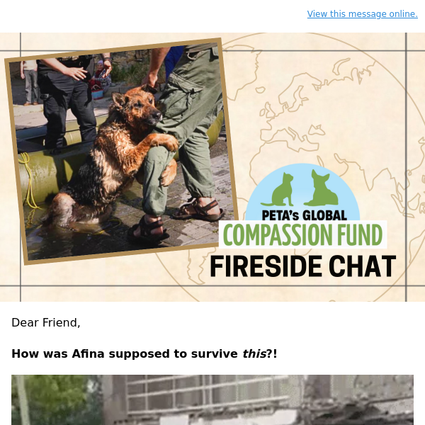 The Global Compassion Fund Fireside Chat is back on August 15! Register now  for this FREE event! - PETA