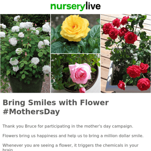 🍀 👨‍🌾  Last 2 days to Bring Smiles on #MothersDay with Rose plants @99, Nurserylive