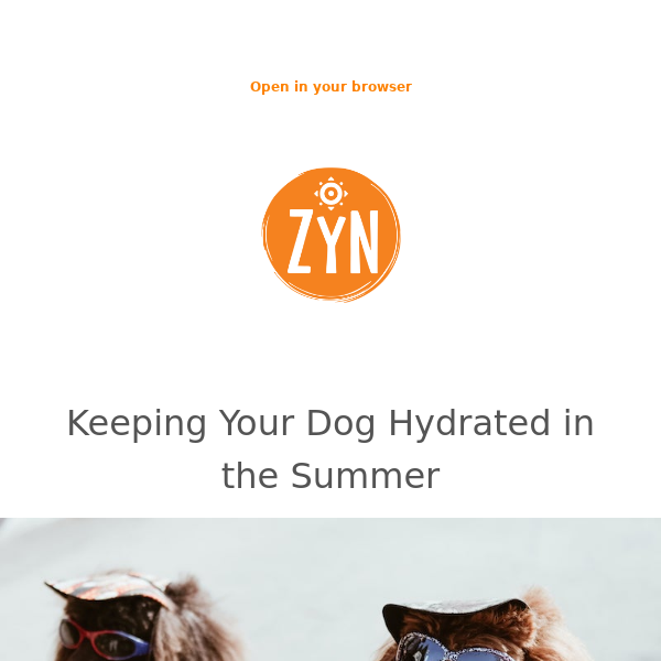 Tips for a Cool Summer with Your Canine Companion