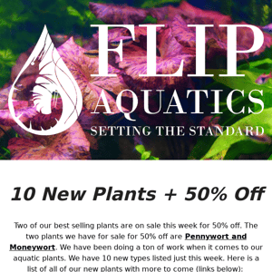 [NEW PLANTS] Save 50% on Our Plants of the Week! 🌿