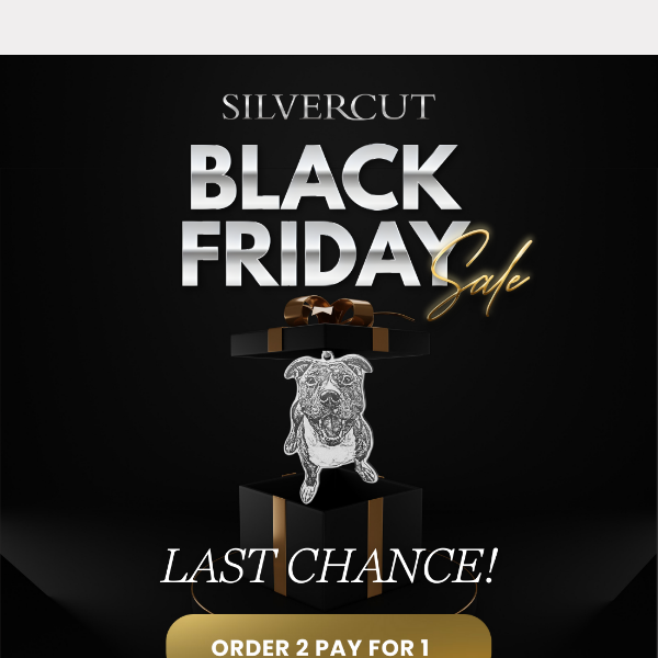 ⌛24hrs to get 2 for price of 1 | Silvercut