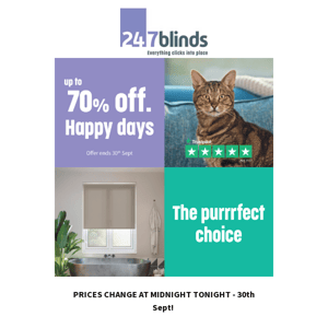 Buy Your Blinds Before Midnight Tonight!