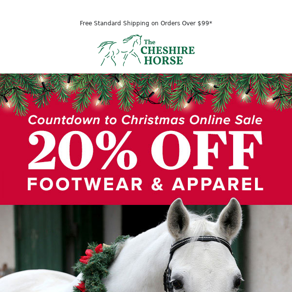 Christmas Savings Are in Full Swing - Shop Now