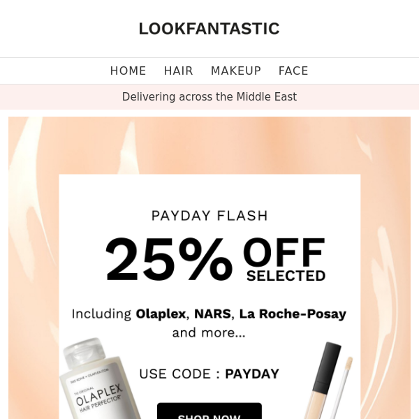 Payday Flash ⚡ 25% Off