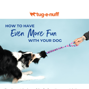 How to have MORE fun with your dog