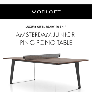 Elevate Your Holidays with Fun: Introducing the Amsterdam Junior Ping Pong Table and Paddle Set!