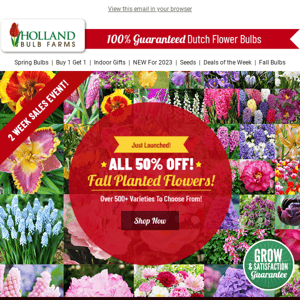 FALL KICKOFF 🏈 50% OFF 500+ Flower Varieties!