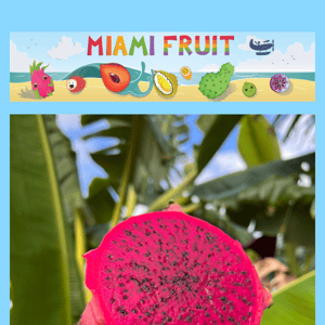 Red Dragonfruit is available! 🐲