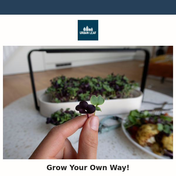 🌱💚 Grow It Your Way - New Microgreen Kits 🌱