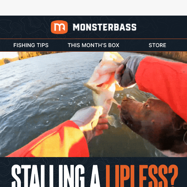 Stalling a Lipless, Spring Fishing Tips, and Big Deals - Monsterbass