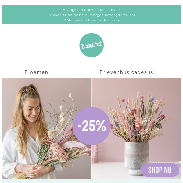 🌸 WEEKEND DEAL: 25% korting op droogboeketten