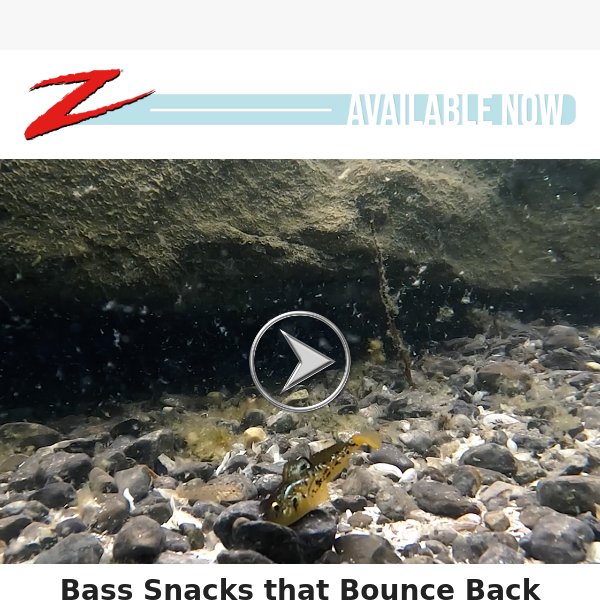 AVAILABLE NOW: Bass Snacks that Bounce Back