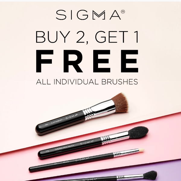 Buy 2 Get 1 FREE Brushes!