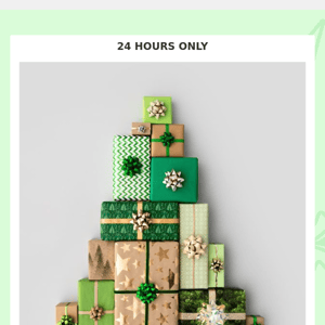 24 HOURS ONLY📣🎁