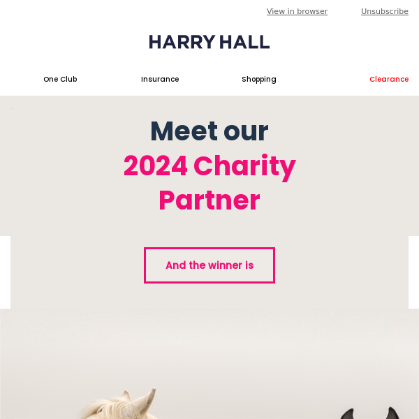 Harry Hall, meet our 2024 Charity Partner