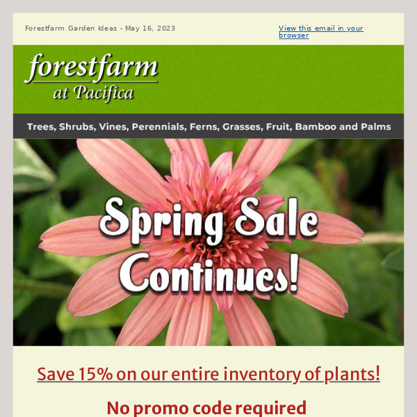 More Spring Savings 🌻