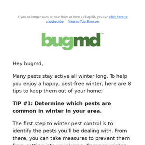 8 winter pest-proofing tips