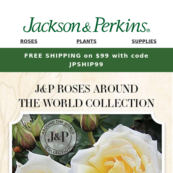 Cultivate a Worldly Garden with Our Around the World Rose Collection