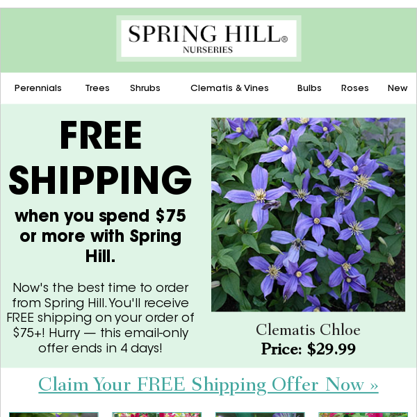 Free Shipping on your $75 or more order!