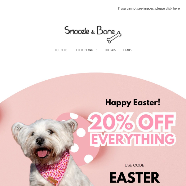 Happy Easter 🐣 20% Off Everything!