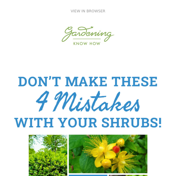 4 Major Shrub Mistakes + Fall Container Refresh + New Vegetable Gardening Book!